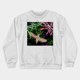 Hummingbird Moth Crewneck Sweatshirt